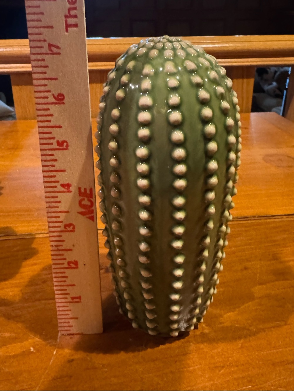 CACTI TRIO - Picture 7 of 7
